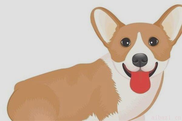 狗对应的天干及性格