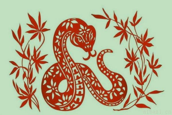 蛇对应的地支及性格