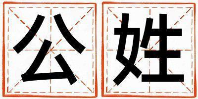 公姓取名有创意的男宝宝名字