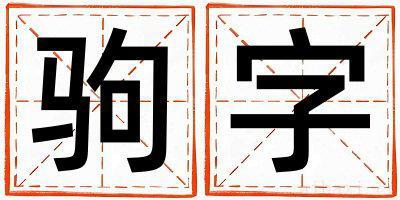 驹字取名寓意男孩 驹字五行属什么