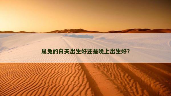 属兔的白天出生好还是晚上出生好？
