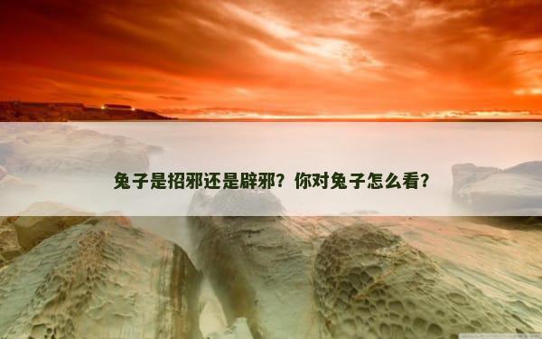 兔子是招邪还是辟邪？你对兔子怎么看？
