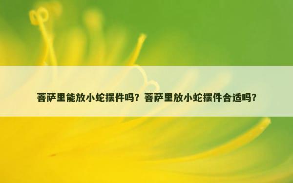 菩萨里能放小蛇摆件吗？菩萨里放小蛇摆件合适吗？
