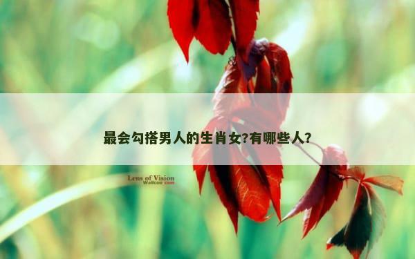 最会勾搭男人的生肖女?有哪些人？