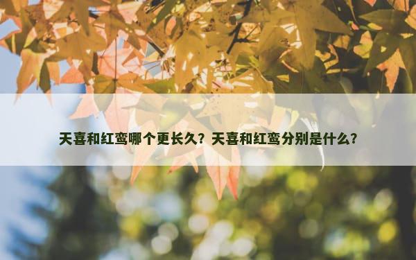 天喜和红鸾哪个更长久？天喜和红鸾分别是什么？