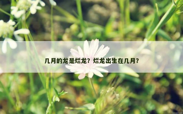 几月的龙是烂龙？烂龙出生在几月？