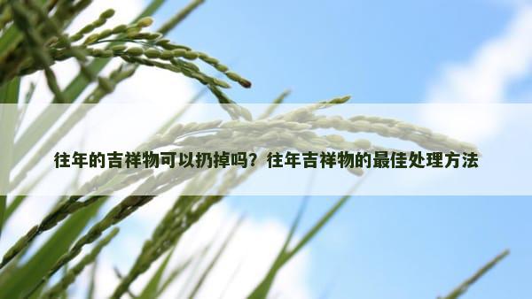 往年的吉祥物可以扔掉吗？往年吉祥物的最佳处理方法