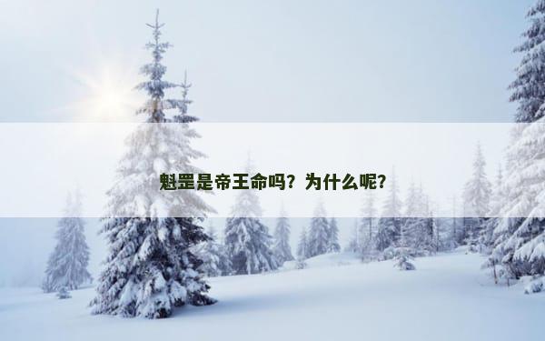 魁罡是帝王命吗？为什么呢？