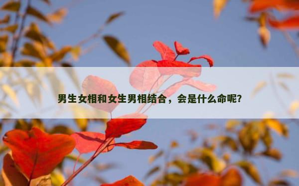 男生女相和女生男相结合，会是什么命呢？