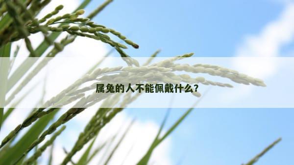 属兔的人不能佩戴什么？