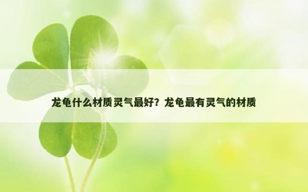 龙龟什么材质灵气最好？龙龟最有灵气的材质