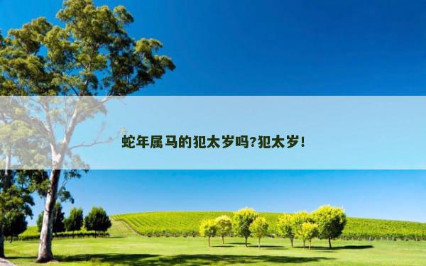 蛇年属马的犯太岁吗?犯太岁！