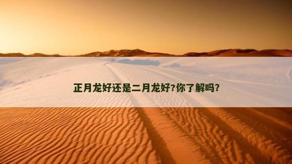 正月龙好还是二月龙好?你了解吗？