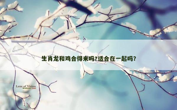 生肖龙和鸡合得来吗?适合在一起吗？