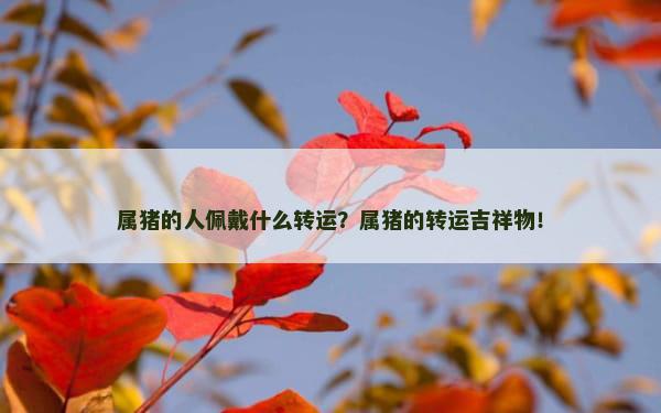 属猪的人佩戴什么转运？属猪的转运吉祥物！