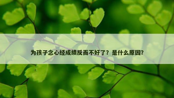为孩子念心经成绩反而不好了？是什么原因？