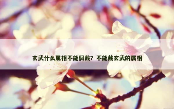 玄武什么属相不能佩戴？不能戴玄武的属相