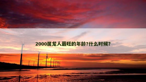 2000属龙人最旺的年龄?什么时候？