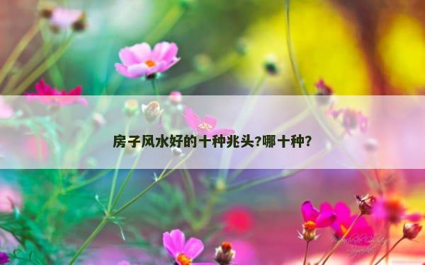 房子风水好的十种兆头?哪十种？