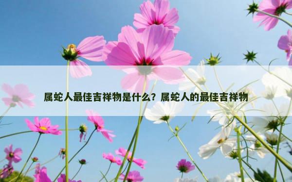 属蛇人最佳吉祥物是什么？属蛇人的最佳吉祥物