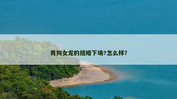 男狗女龙的结婚下场?怎么样？