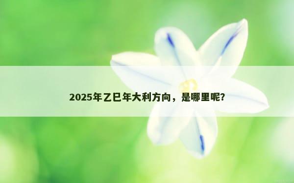 2025年乙巳年大利方向，是哪里呢？