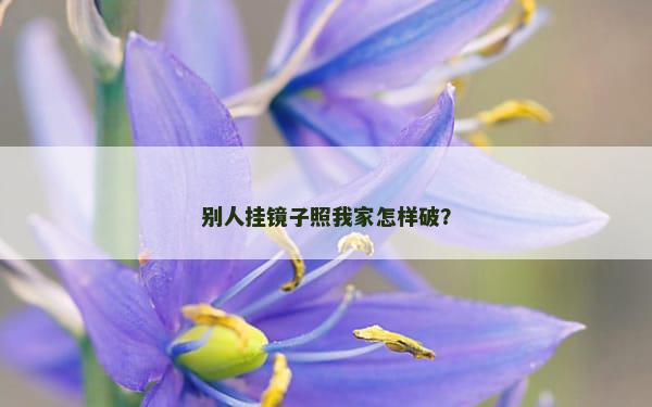 别人挂镜子照我家怎样破？