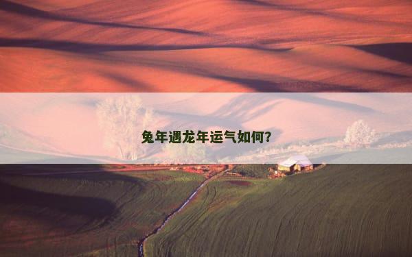 兔年遇龙年运气如何？