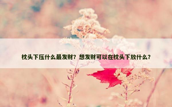 枕头下压什么最发财？想发财可以在枕头下放什么？