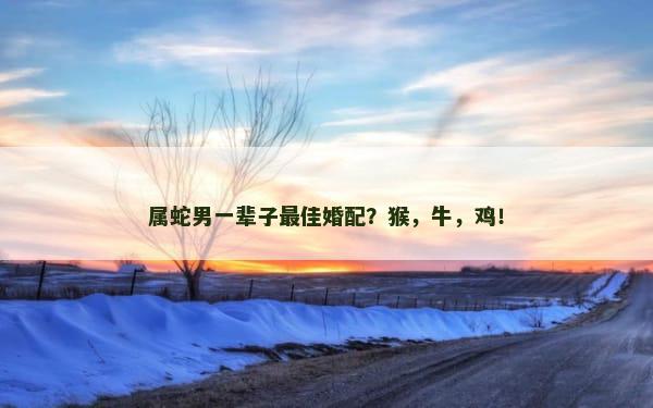 属蛇男一辈子最佳婚配？猴，牛，鸡！