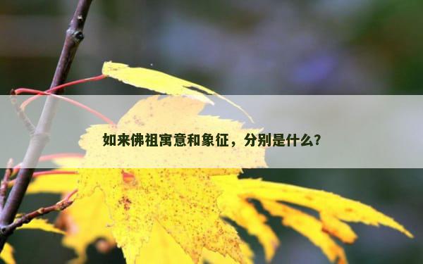 如来佛祖寓意和象征，分别是什么？