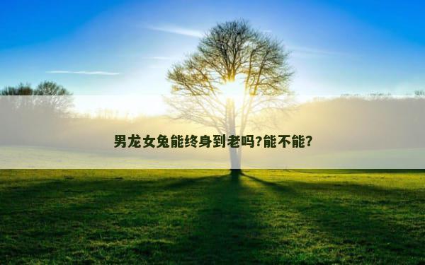 男龙女兔能终身到老吗?能不能？