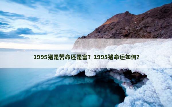 1995猪是苦命还是富？1995猪命运如何？