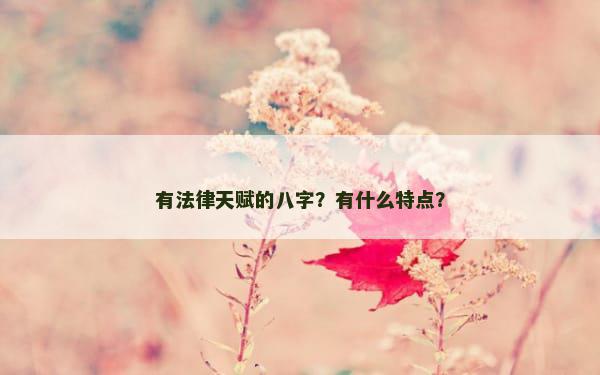 有法律天赋的八字？有什么特点？