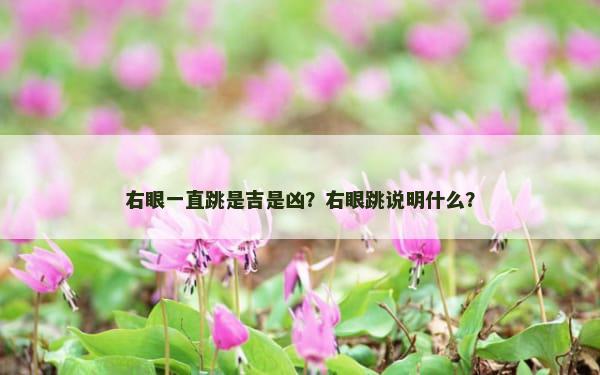 右眼一直跳是吉是凶？右眼跳说明什么？