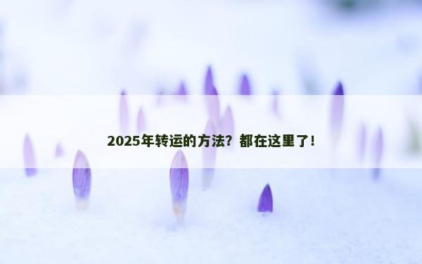 2025年转运的方法？都在这里了！