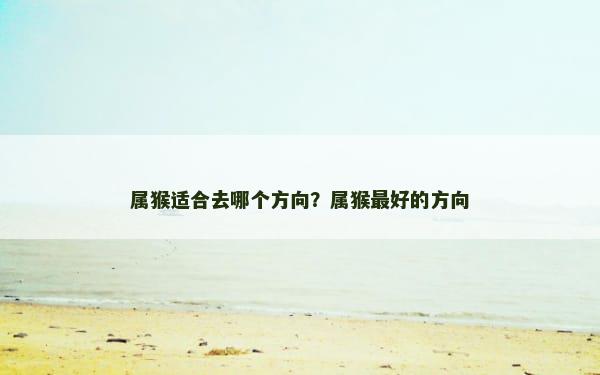 属猴适合去哪个方向？属猴最好的方向