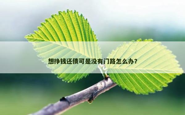 想挣钱还债可是没有门路怎么办？