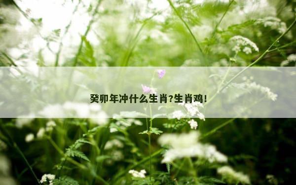 癸卯年冲什么生肖?生肖鸡！