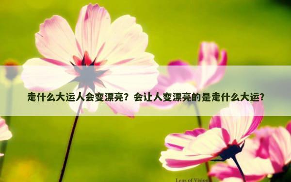 走什么大运人会变漂亮？会让人变漂亮的是走什么大运？