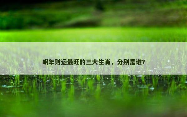 明年财运最旺的三大生肖，分别是谁？