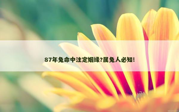 87年兔命中注定姻缘?属兔人必知!