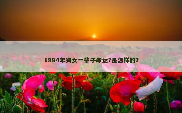 1994年狗女一辈子命运?是怎样的？