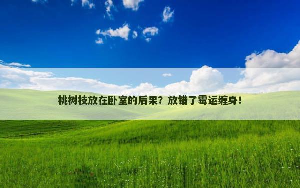 桃树枝放在卧室的后果？放错了霉运缠身！