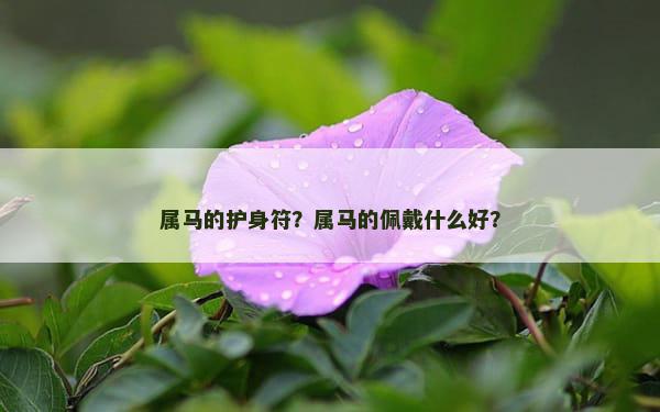 属马的护身符？属马的佩戴什么好？