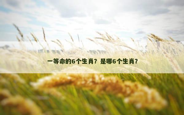 一等命的6个生肖？是哪6个生肖？