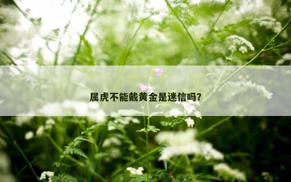 属虎不能戴黄金是迷信吗？