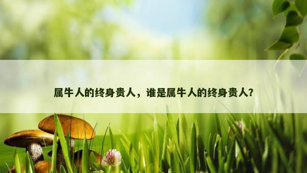 属牛人的终身贵人，谁是属牛人的终身贵人？