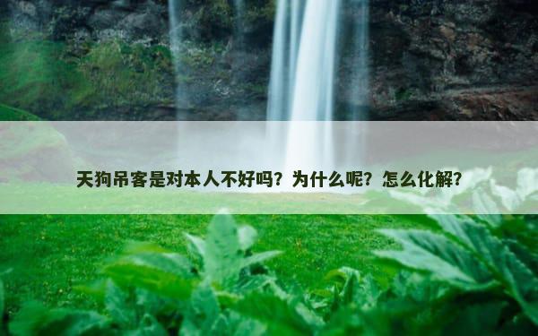 天狗吊客是对本人不好吗？为什么呢？怎么化解？