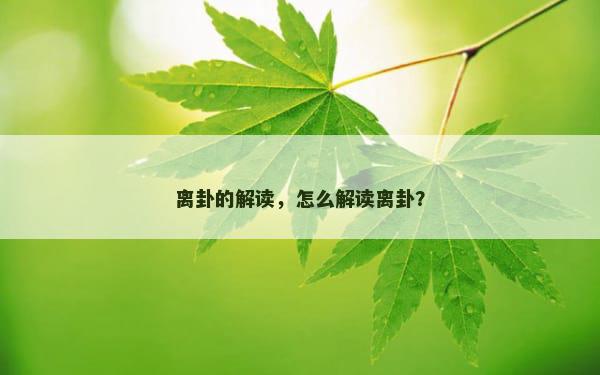 离卦的解读，怎么解读离卦？